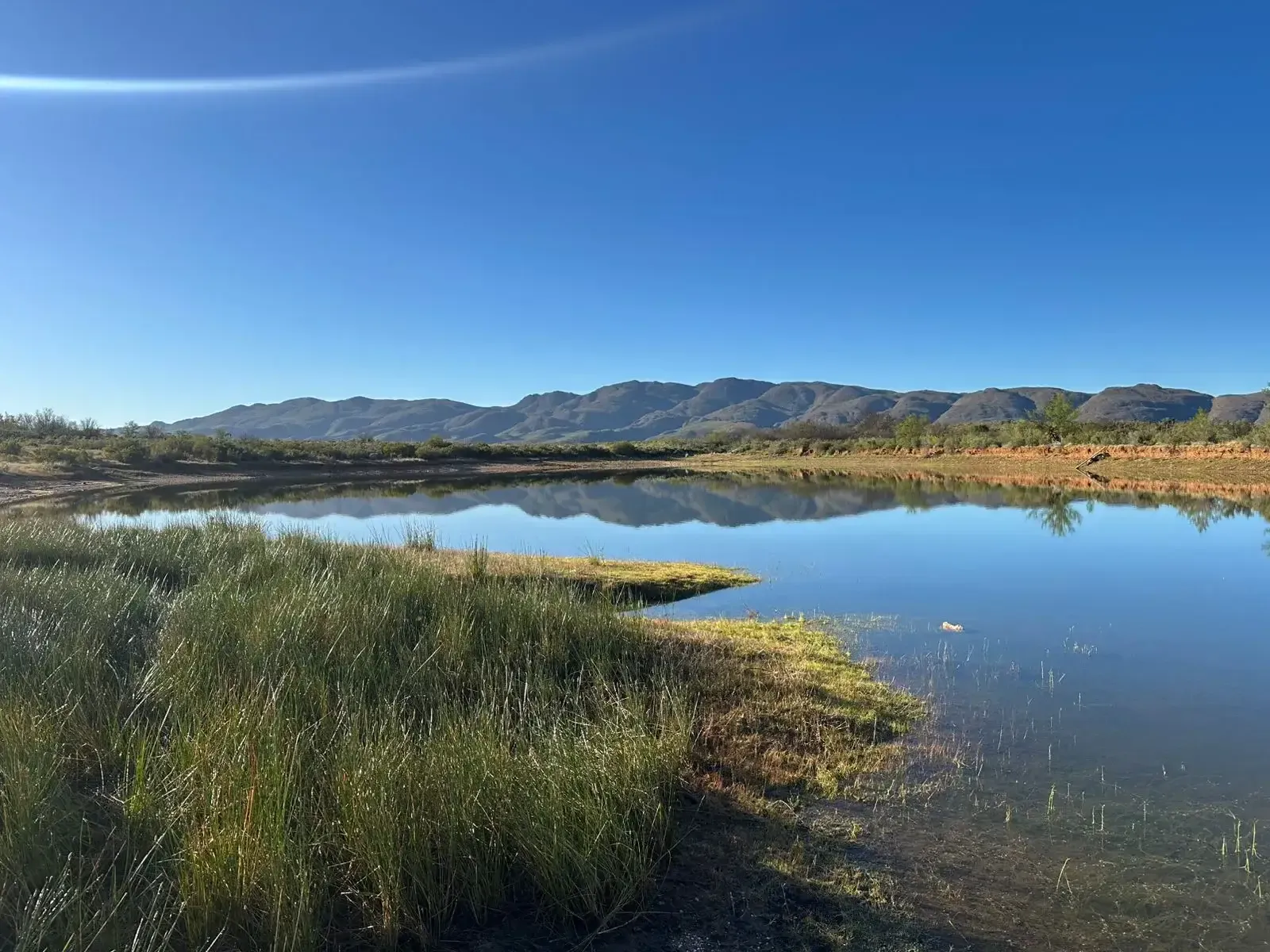 Swartberg Wilds social highlight 2